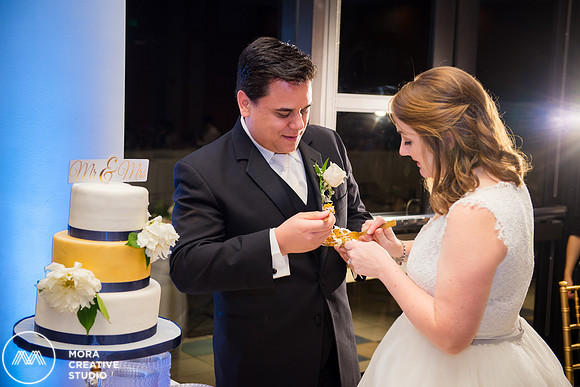 WEDDING_111415_01743
