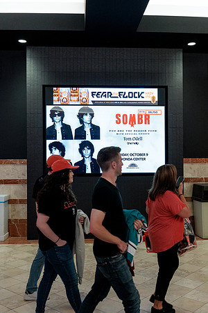100426_ANAHEIM_DUCKS_RMR14106