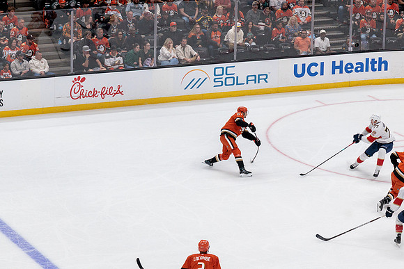 100426_ANAHEIM_DUCKS_RMR19784