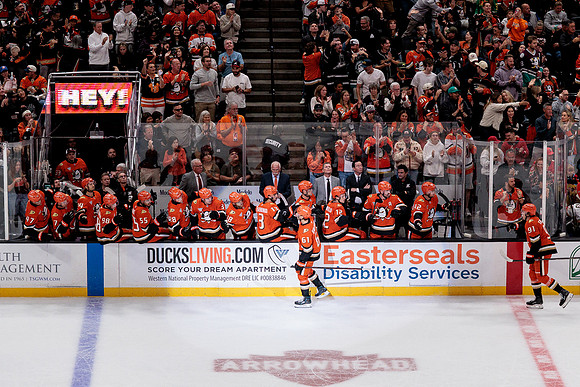 100426_ANAHEIM_DUCKS_RMR19954