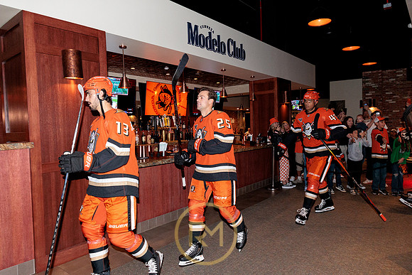 100426_ANAHEIM_DUCKS_RMR15147
