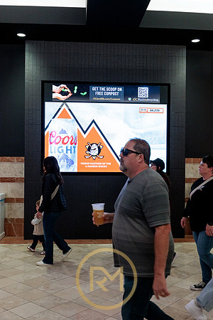 100426_ANAHEIM_DUCKS_RMR12040