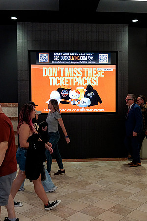 100426_ANAHEIM_DUCKS_RMR12941