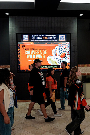 100426_ANAHEIM_DUCKS_RMR12984