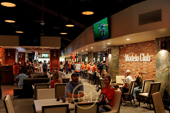 100426_ANAHEIM_DUCKS_RMR15105