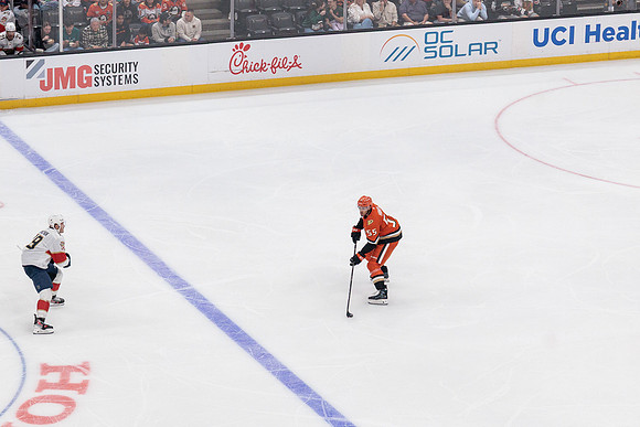 100426_ANAHEIM_DUCKS_RMR11642