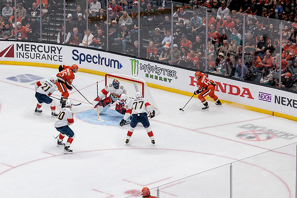 100426_ANAHEIM_DUCKS_RMR19739