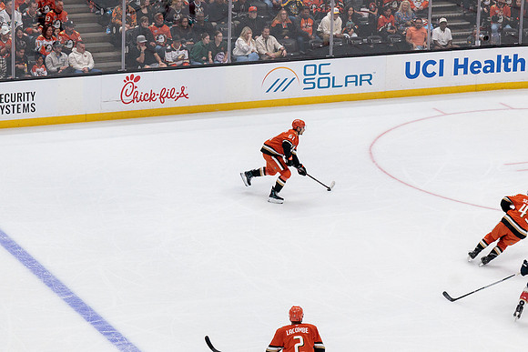 100426_ANAHEIM_DUCKS_RMR19775