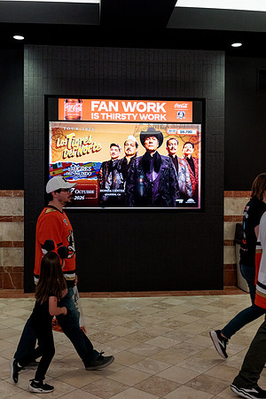 100426_ANAHEIM_DUCKS_RMR14351