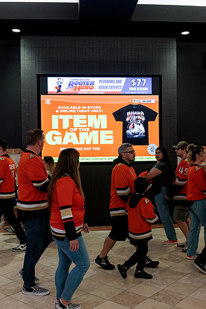 100426_ANAHEIM_DUCKS_RMR13014