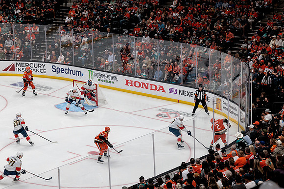 100426_ANAHEIM_DUCKS_RMR16988