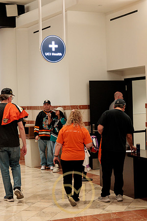 100426_ANAHEIM_DUCKS_RMR11443