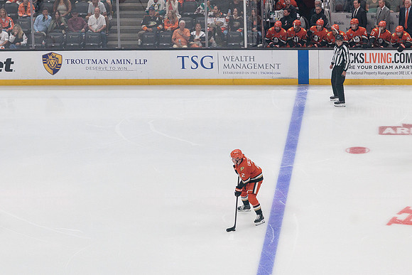 100426_ANAHEIM_DUCKS_RMR10943