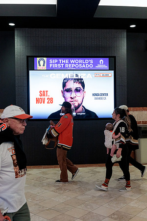 100426_ANAHEIM_DUCKS_RMR14846