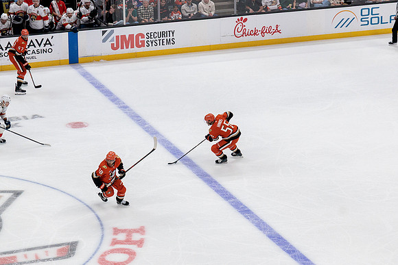 100426_ANAHEIM_DUCKS_RMR12738