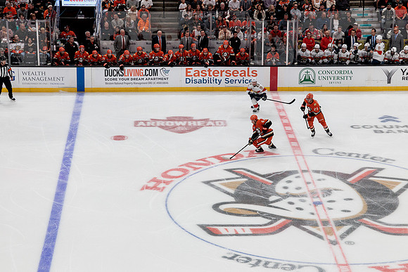 100426_ANAHEIM_DUCKS_RMR17207