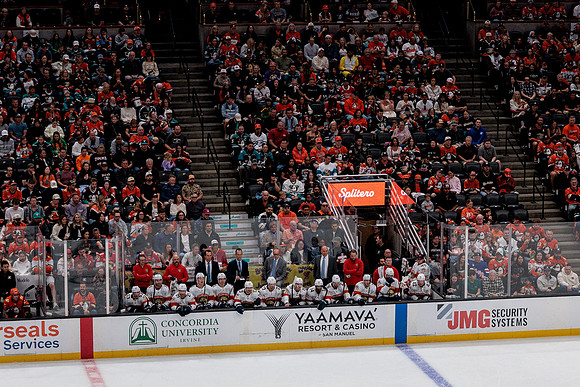 100426_ANAHEIM_DUCKS_RMR18844