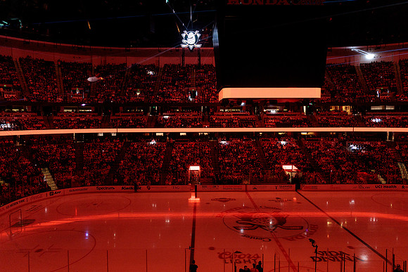 100426_ANAHEIM_DUCKS_RMR16151
