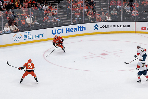 100426_ANAHEIM_DUCKS_RMR10320