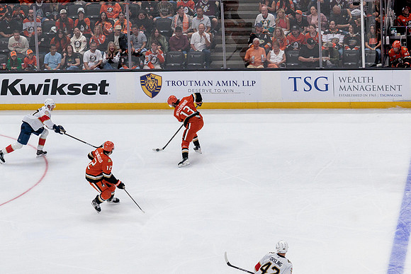 100426_ANAHEIM_DUCKS_RMR17994