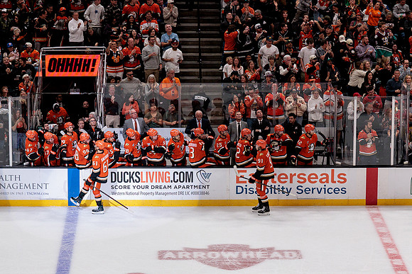 100426_ANAHEIM_DUCKS_RMR19975
