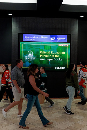 100426_ANAHEIM_DUCKS_RMR14573