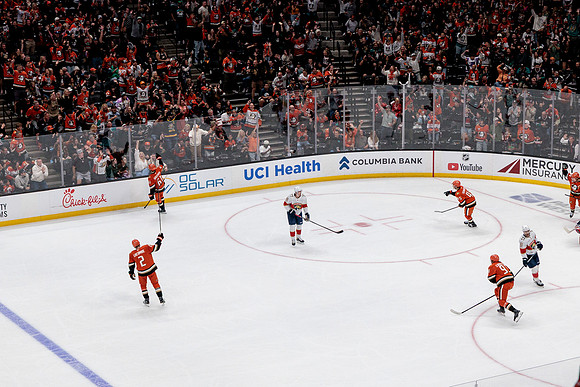 100426_ANAHEIM_DUCKS_RMR19822