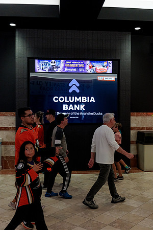 100426_ANAHEIM_DUCKS_RMR13834