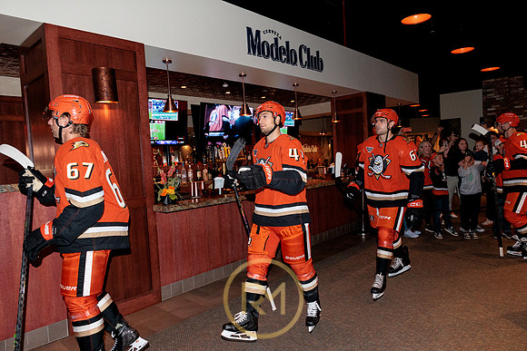 100426_ANAHEIM_DUCKS_RMR15181