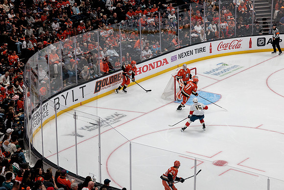 100426_ANAHEIM_DUCKS_RMR17100