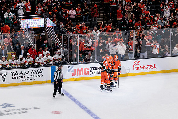 100426_ANAHEIM_DUCKS_RMR19879