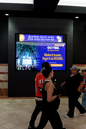 100426_ANAHEIM_DUCKS_RMR13592
