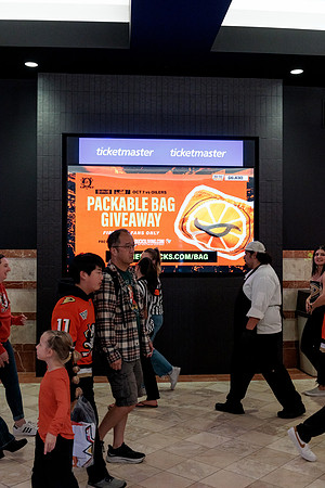 100426_ANAHEIM_DUCKS_RMR12862