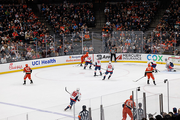 031125_ANAHEIM_DUCKS_1117