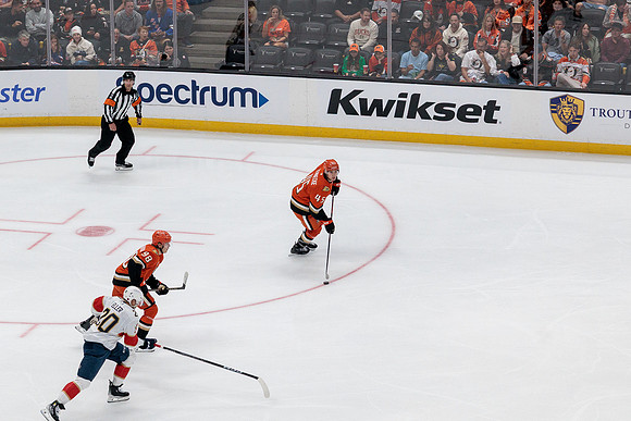 100426_ANAHEIM_DUCKS_RMR17620