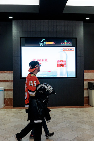 100426_ANAHEIM_DUCKS_RMR14998