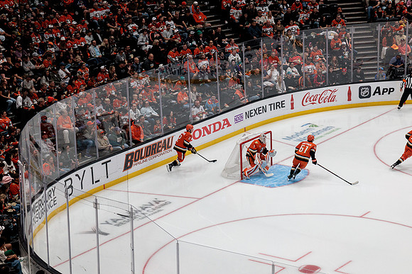 100426_ANAHEIM_DUCKS_RMR16856
