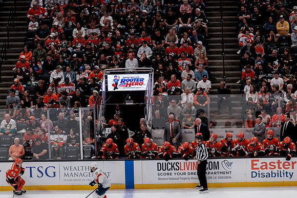 100426_ANAHEIM_DUCKS_RMR10088
