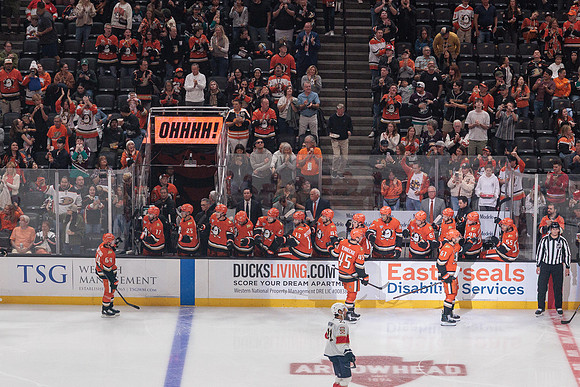 100426_ANAHEIM_DUCKS_RMR11134