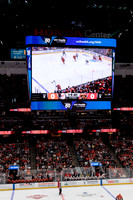 100426_ANAHEIM_DUCKS_RMR16839