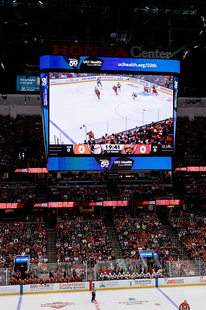 100426_ANAHEIM_DUCKS_RMR16839