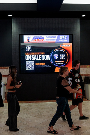 100426_ANAHEIM_DUCKS_RMR13059
