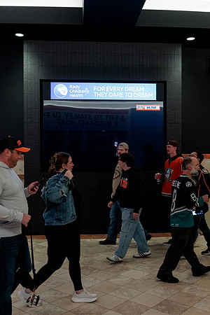 100426_ANAHEIM_DUCKS_RMR13920