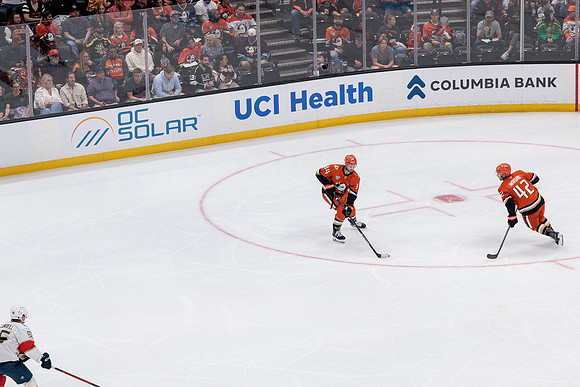 100426_ANAHEIM_DUCKS_RMR12043