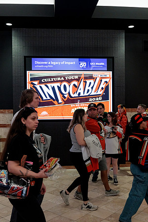 100426_ANAHEIM_DUCKS_RMR14525