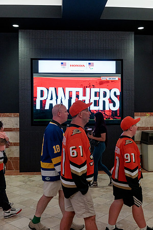100426_ANAHEIM_DUCKS_RMR13099