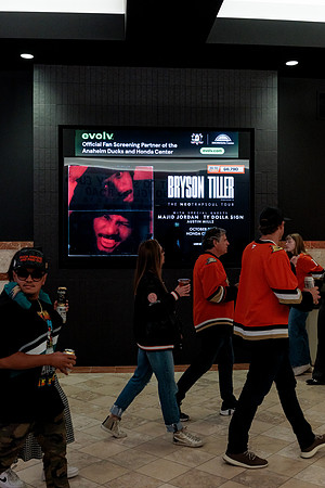 100426_ANAHEIM_DUCKS_RMR14453