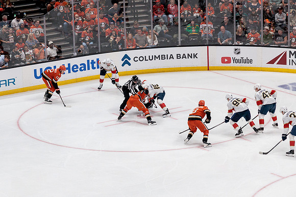 100426_ANAHEIM_DUCKS_RMR17895