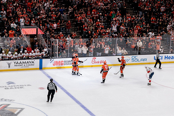 100426_ANAHEIM_DUCKS_RMR19858