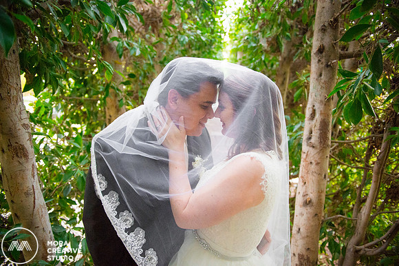 WEDDING_111415_01129